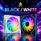 HotBell 120mm ARGB PWM case fans shown in black and white color options with multicolor lighting.